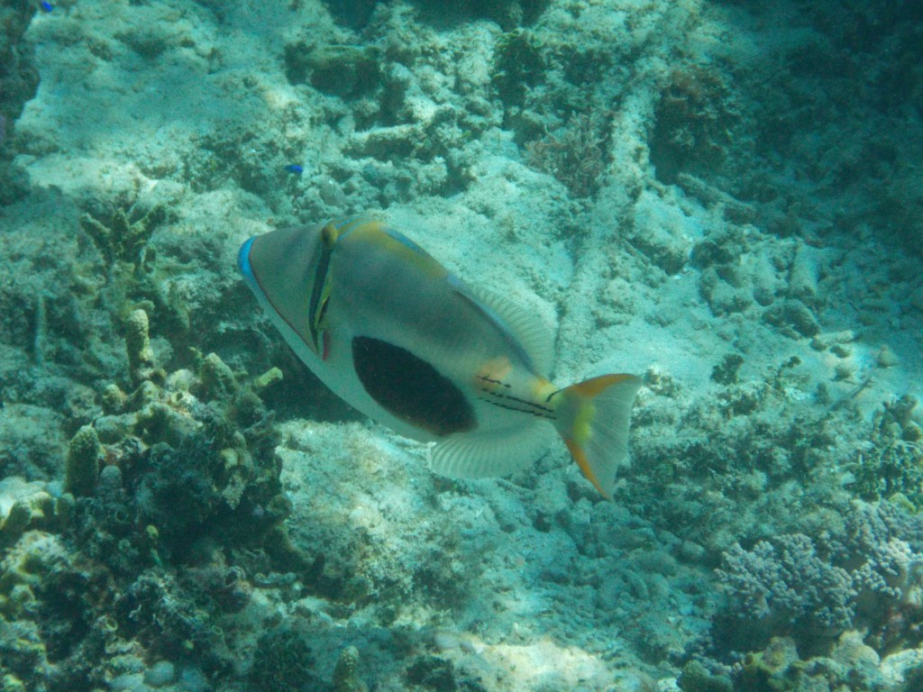 DSCN1858