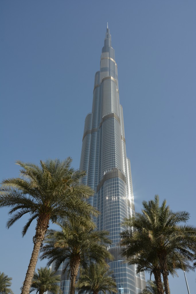 DSC_7827