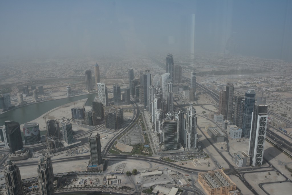 DSC_7881