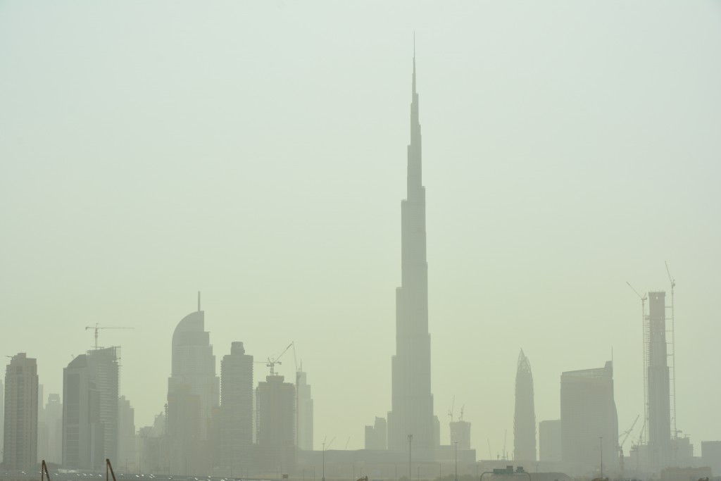 DSC_7982