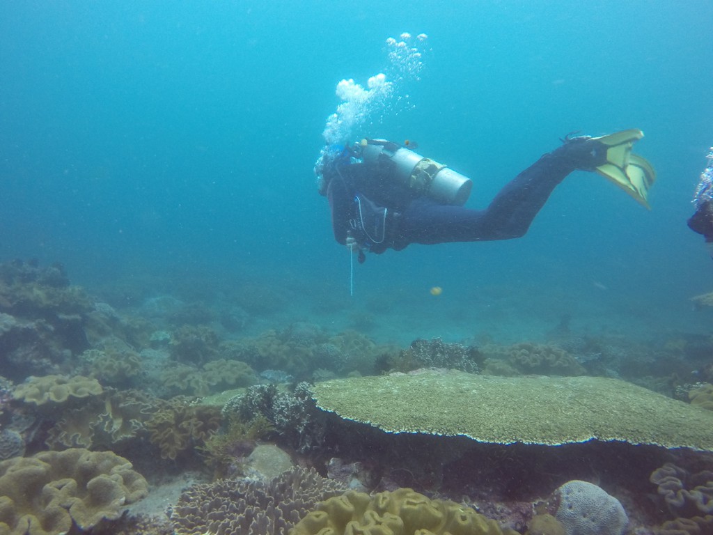 DCIM100GOPROGOPR2660.
