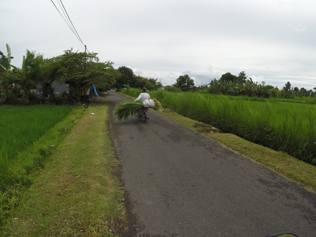 DCIM100GOPROGOPR2731.