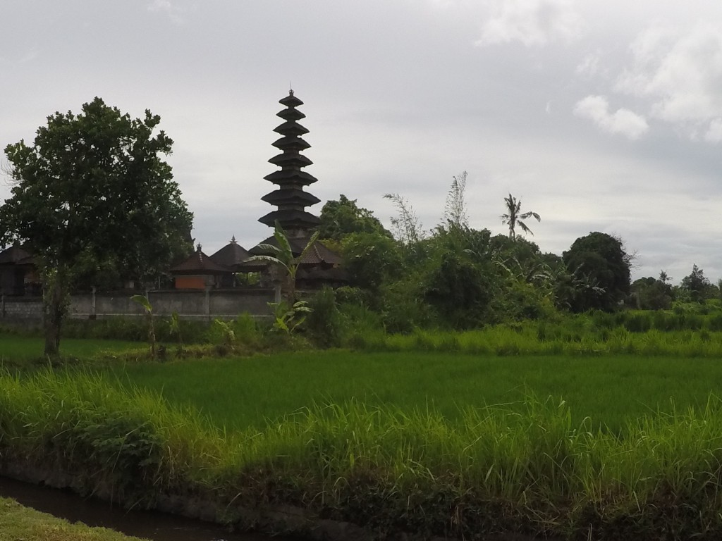 DCIM100GOPROGOPR2741.