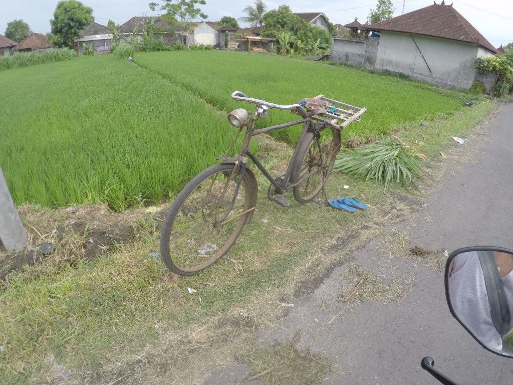 DCIM100GOPROGOPR2744.