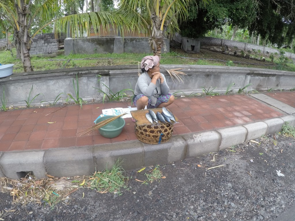DCIM100GOPROGOPR2759.