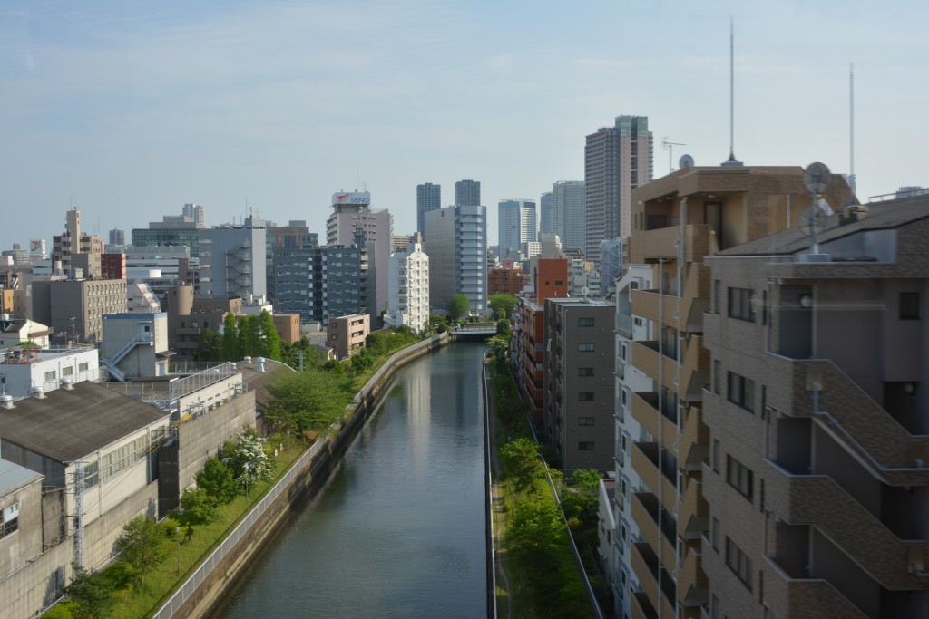 DSC_6065