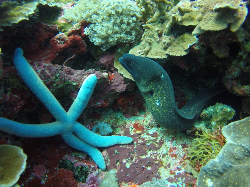 DCIM100GOPROGOPR3839.
