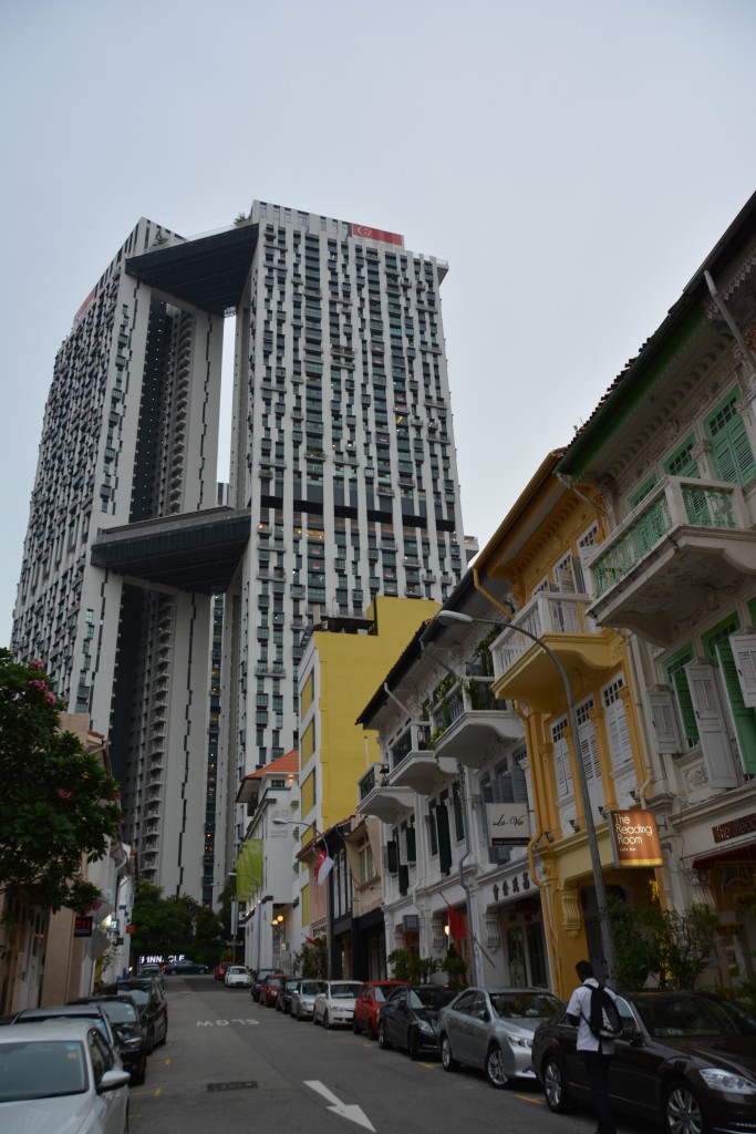 DSC_1138