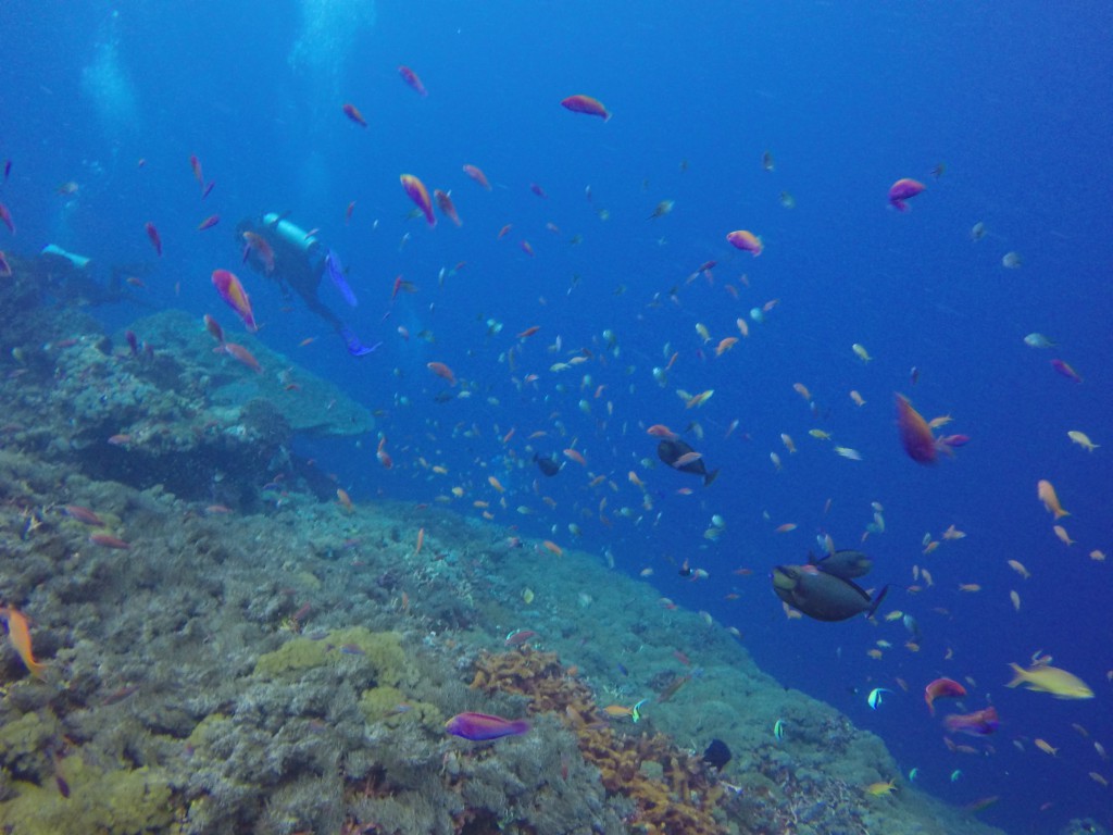 DCIM100GOPROGOPR3983.