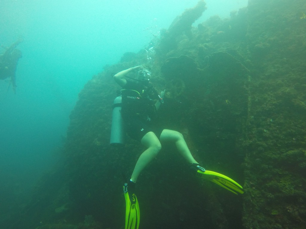 DCIM100GOPROGOPR4062.