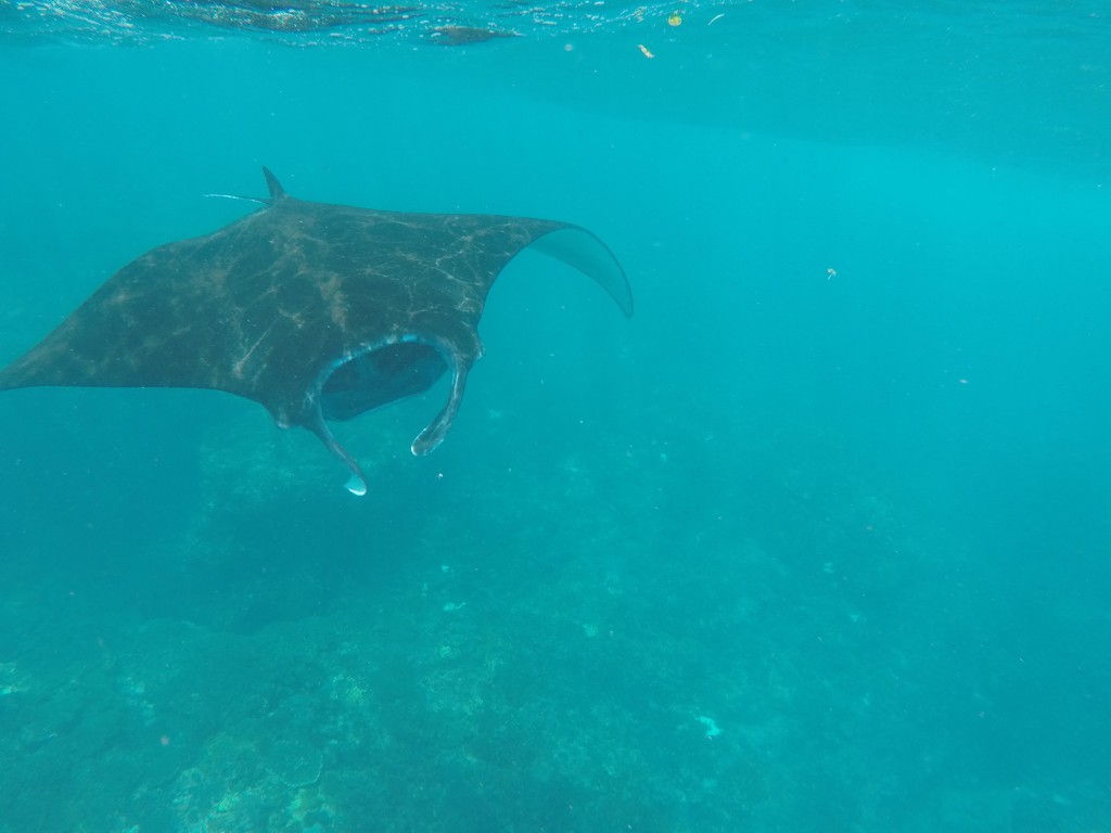 DCIM100GOPROGOPR4457.