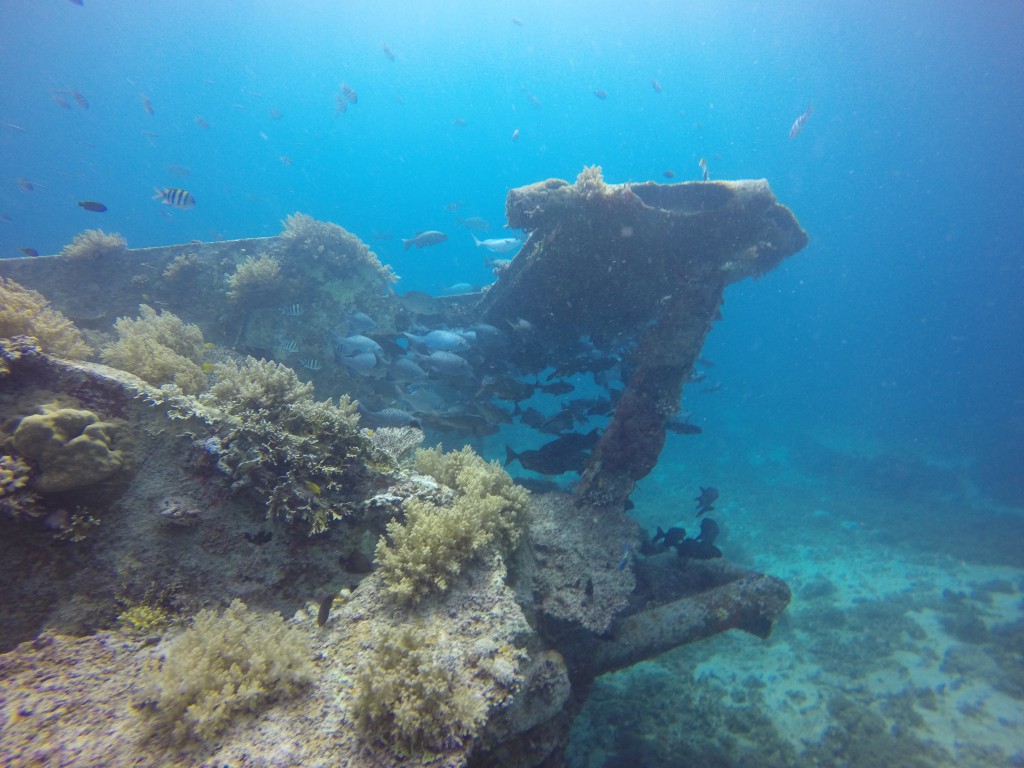 DCIM100GOPROGOPR4788.