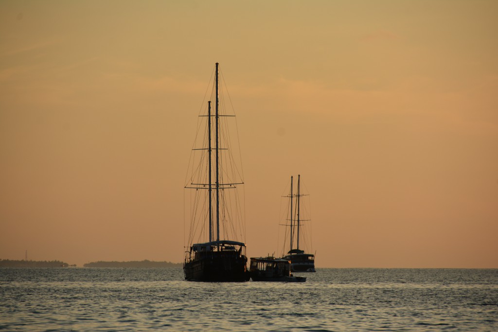 DSC_6826