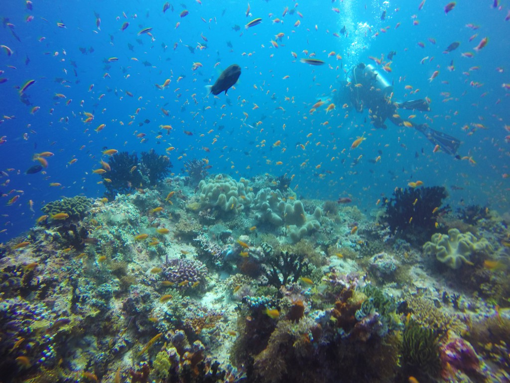 DCIM100GOPROGOPR5563.