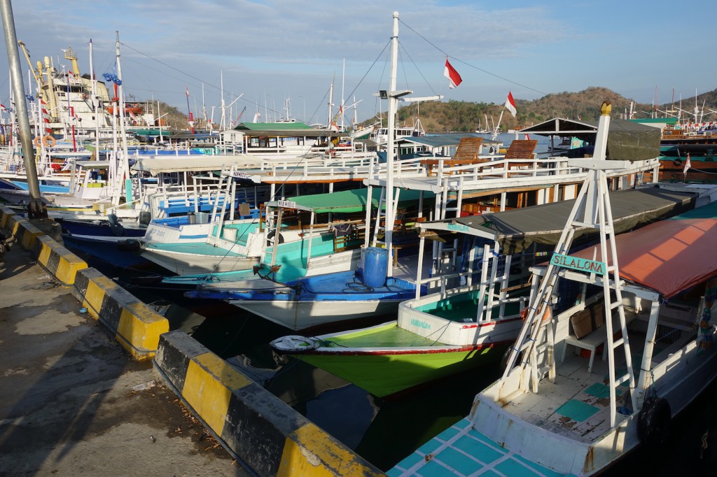 DSC05817