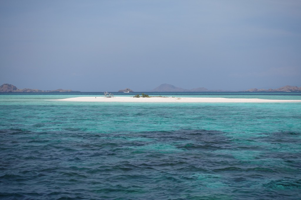 DSC06290