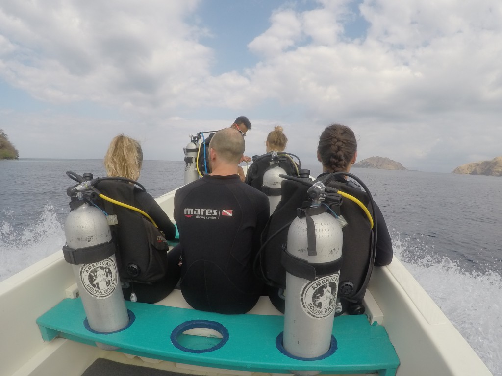 DCIM100GOPROGOPR9725.