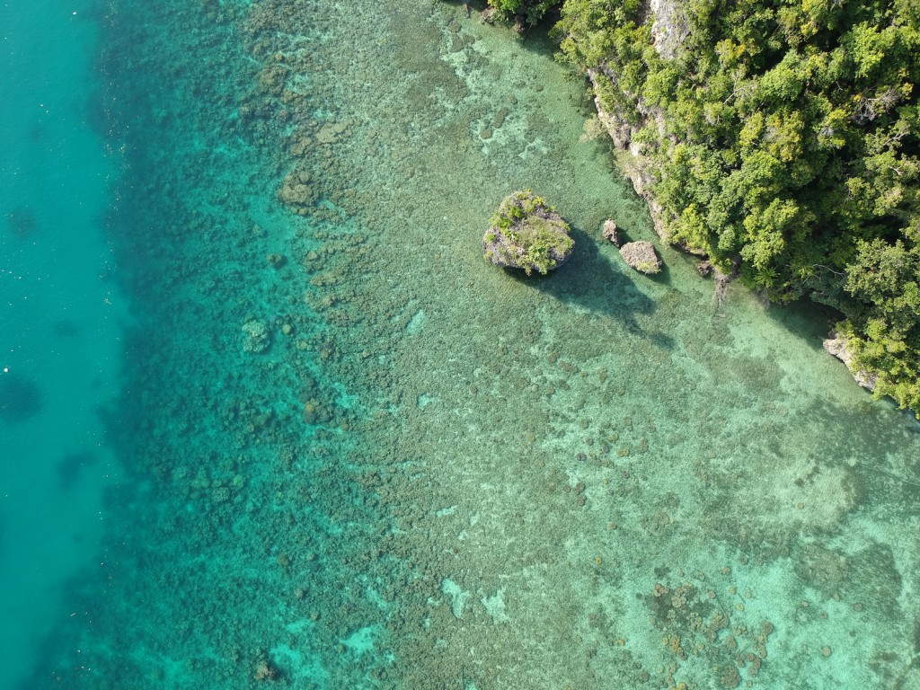 DCIM/100MEDIA/DJI_0105.JPG