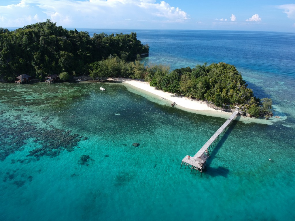 DCIM/100MEDIA/DJI_0133.JPG