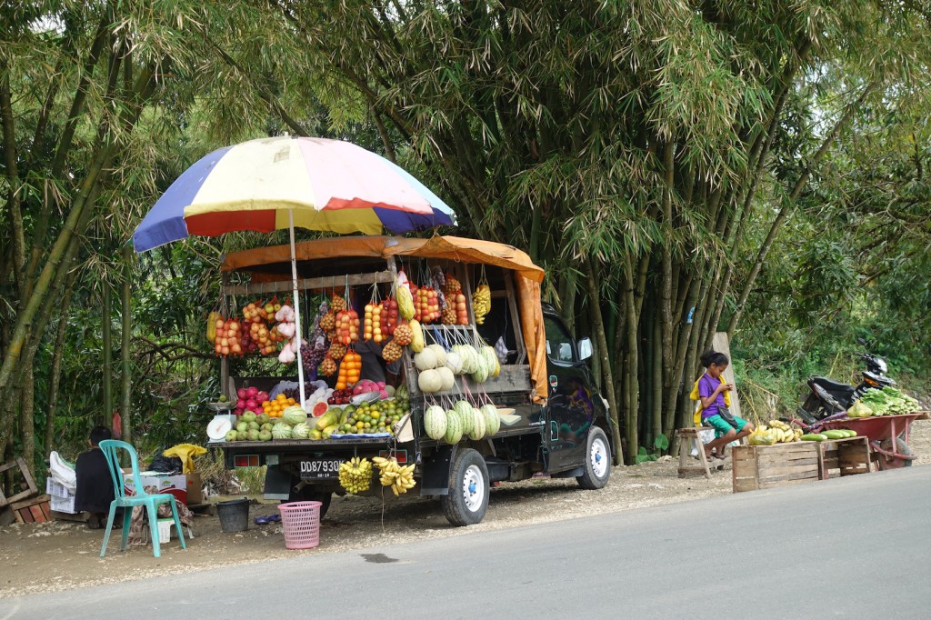 DSC07469