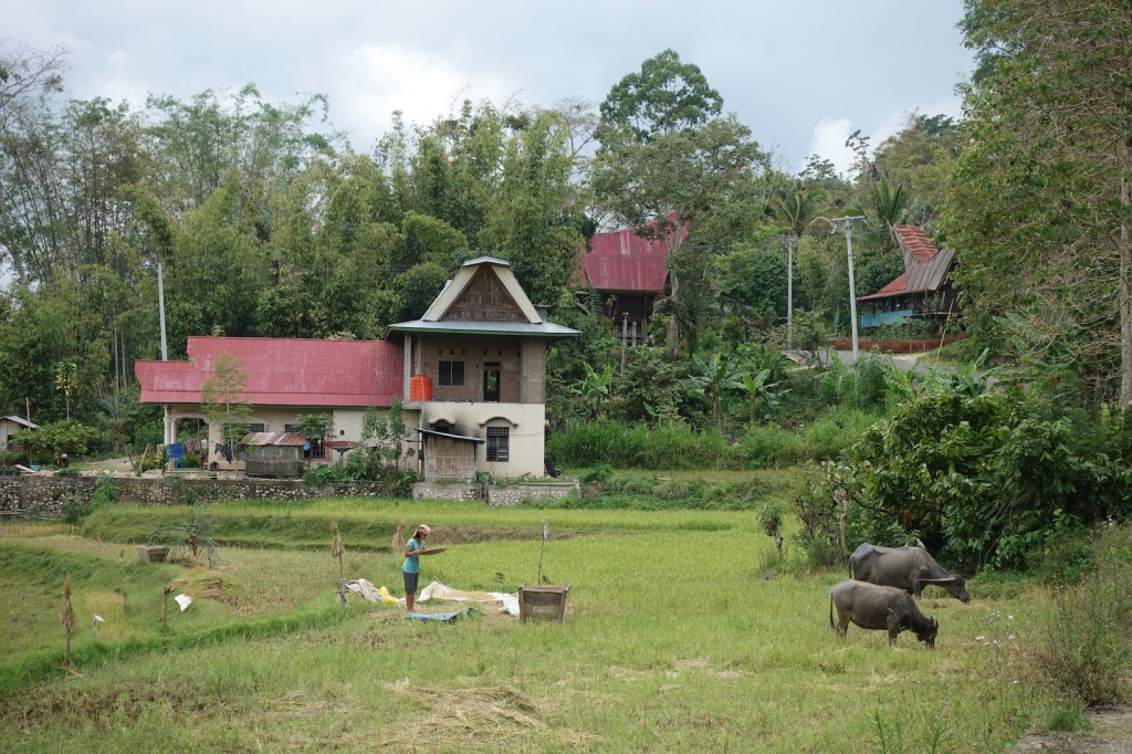 DSC07496