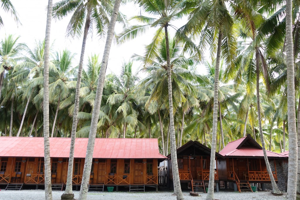 DSC07918