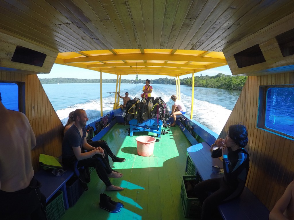 DCIM100GOPROGOPR0498.