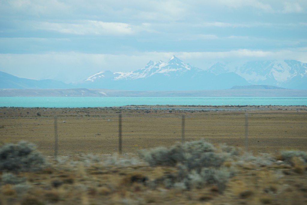 DSC00673
