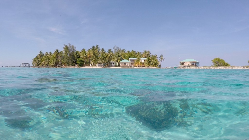 Tobacco Caye7